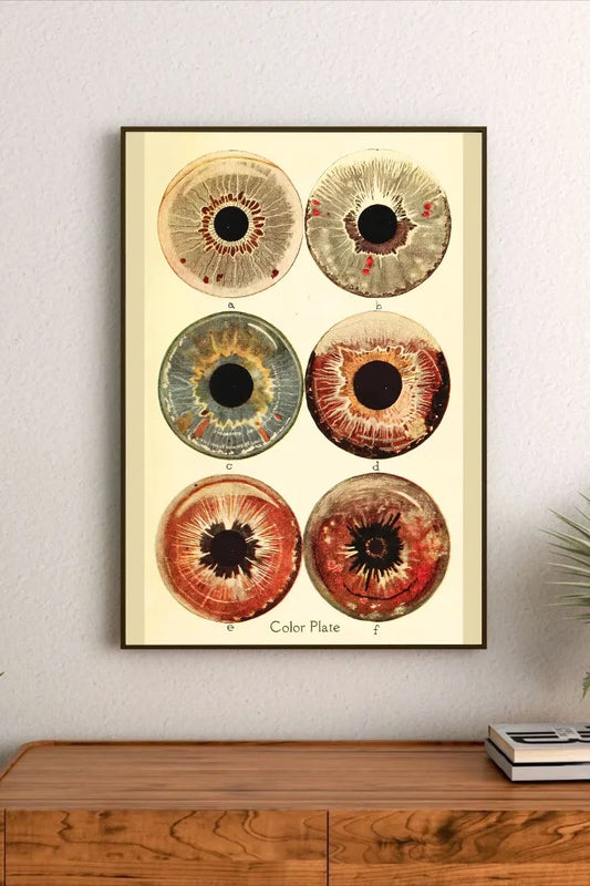 Ocular Archive | Element Dark 09