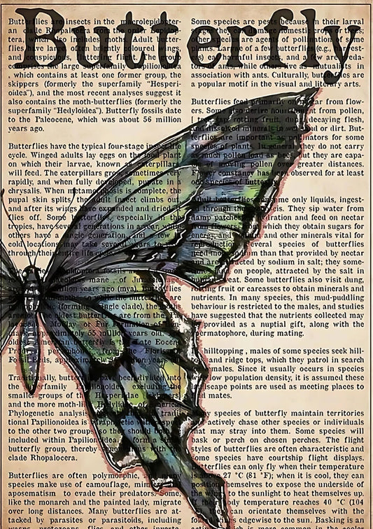 Quiet Capture | Pink Lemonade 30