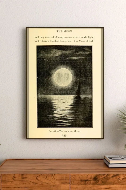 Tidal Reverie | Through the Telescope 31