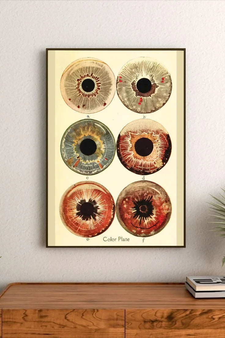 Ocular Archive | Element Dark 09