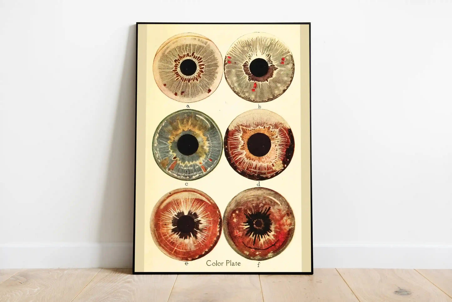 Ocular Archive | Element Dark 09