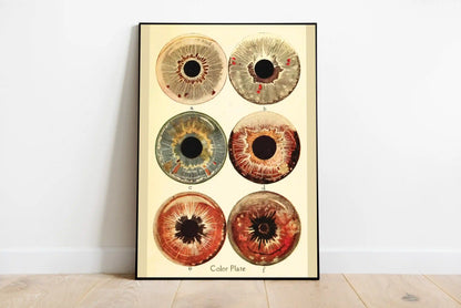 Ocular Archive | Element Dark 09