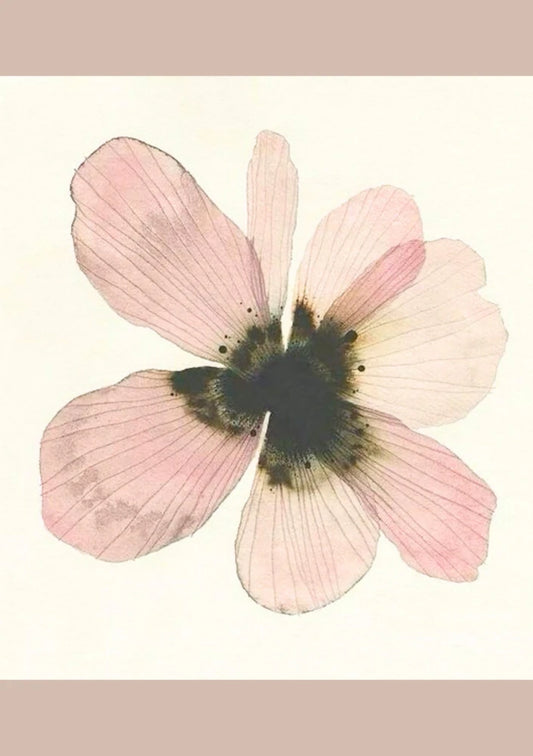 Pale bloom | cottage-core 14