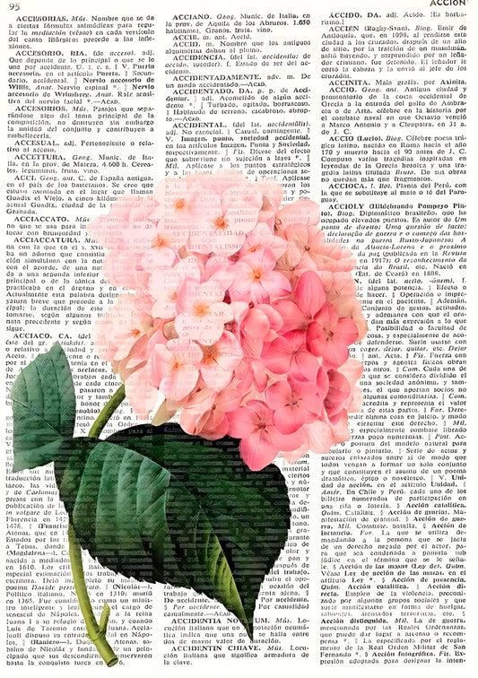 Annotated Bloom | cottage-core 28