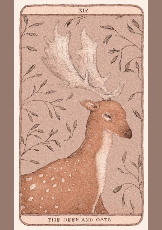 Temperance | cottage-core 29