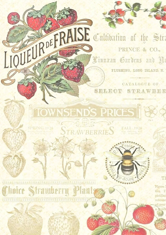 Strawberry farm | cottage-core 04