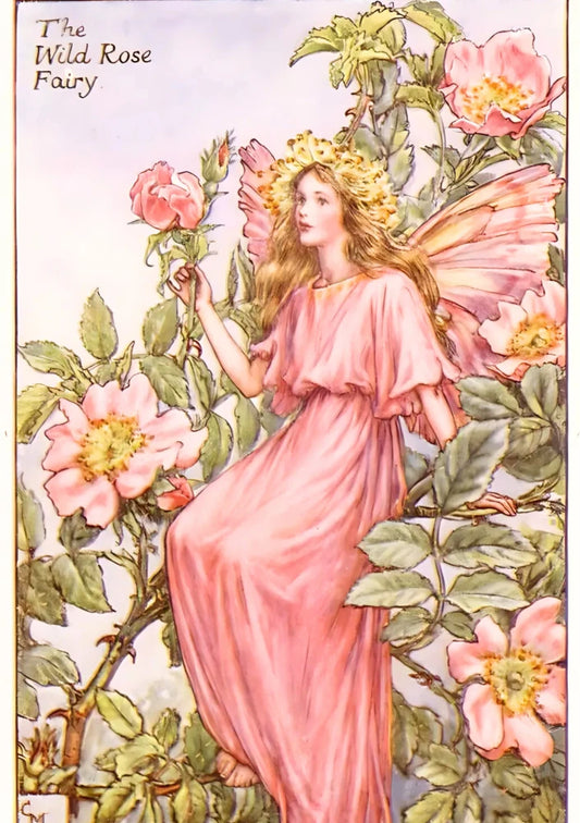 Wild rose fairy | cottage-core 06