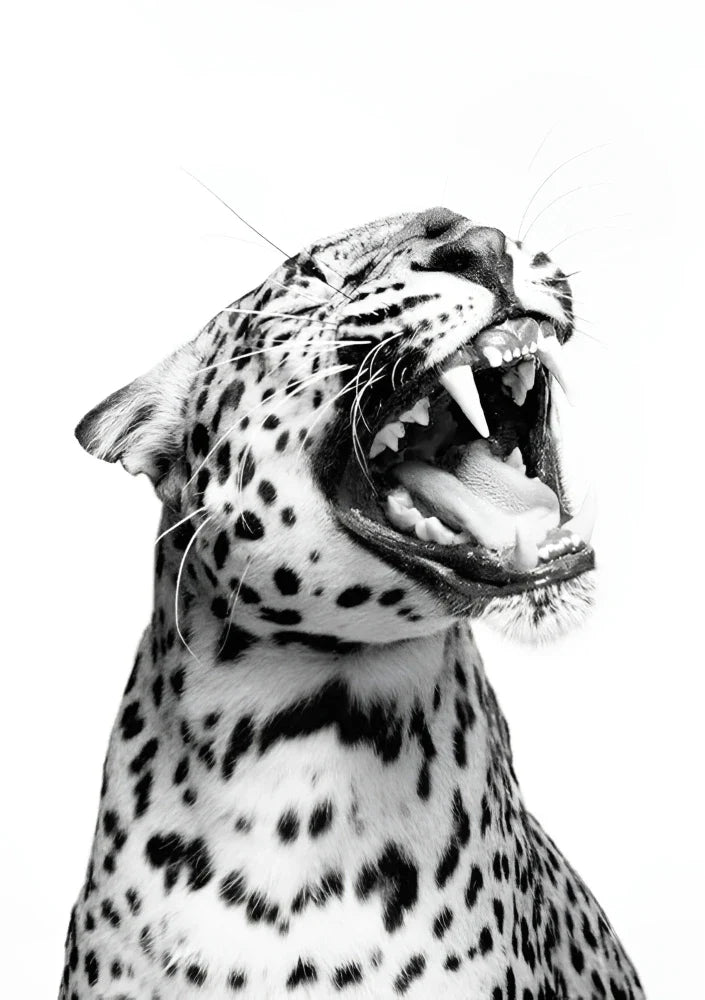 Savage Elegance | Vogue 23