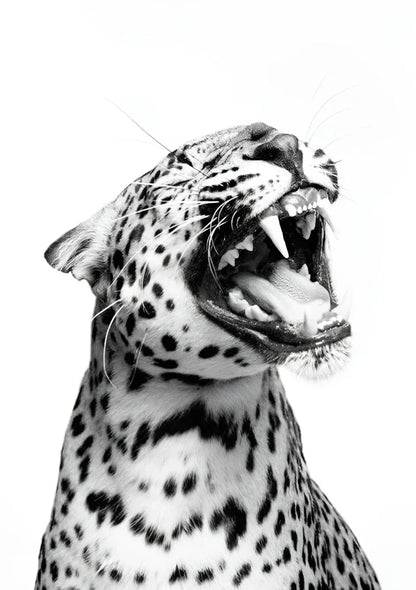 Savage Elegance | Vogue 23