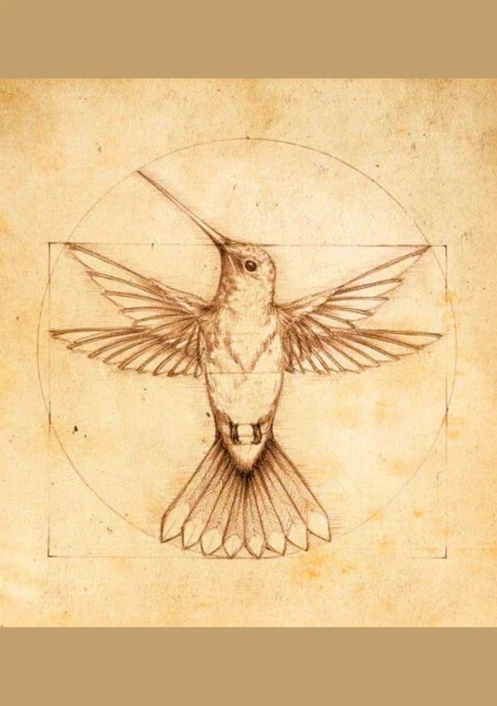 Measured Flight | Element Dark 27