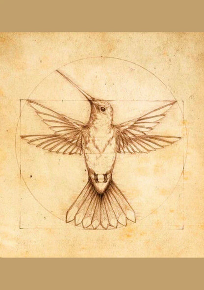 Measured Flight | Element Dark 27