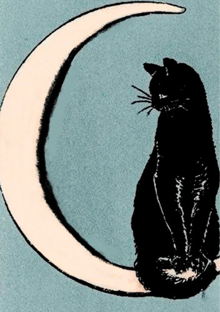 Nocturne Familiar | Element Dark 30