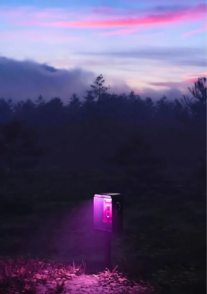 Signal in the Woods | Higher Dimensions 31