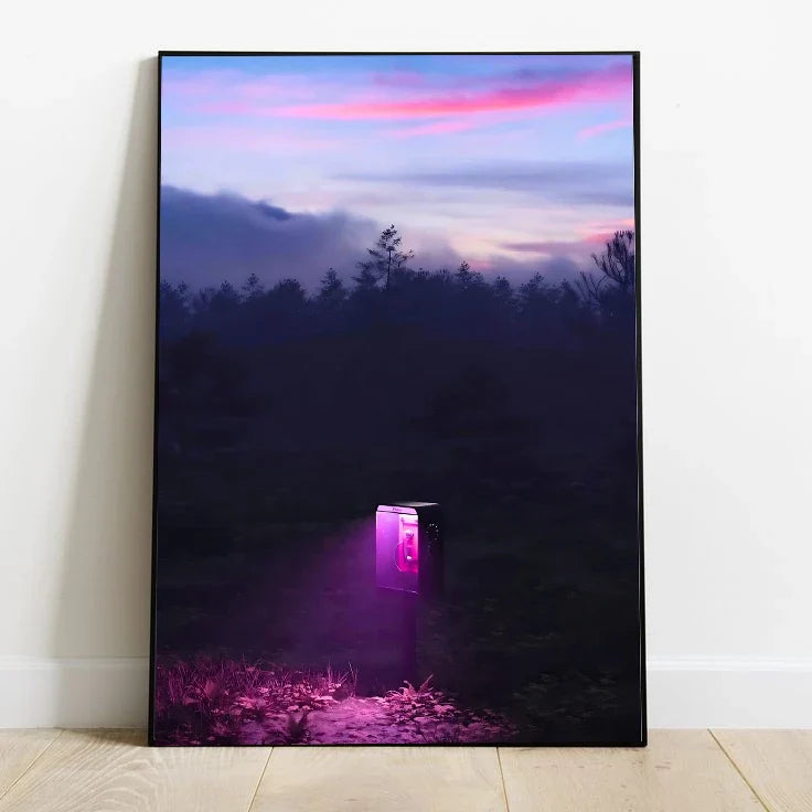 Signal in the Woods | Higher Dimensions 31