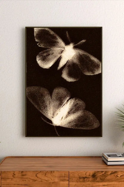 Quantum Moths | Higher Dimensions 35