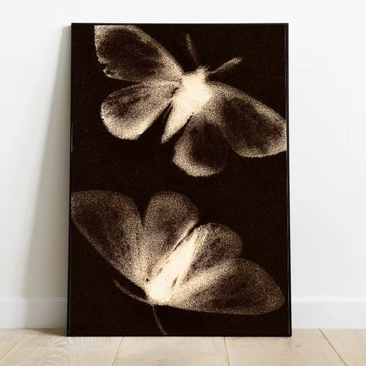 Quantum Moths | Higher Dimensions 35