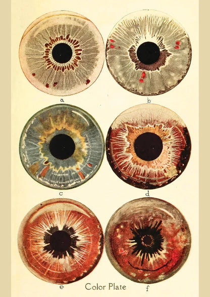 Ocular Archive | Element Dark 09