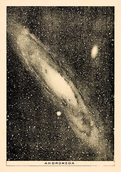 Andromeda | Through the Telescope 20