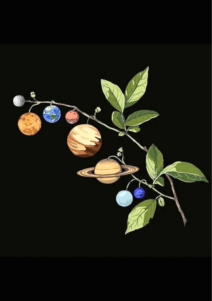 Orbital Growth | Through the Telescope 21