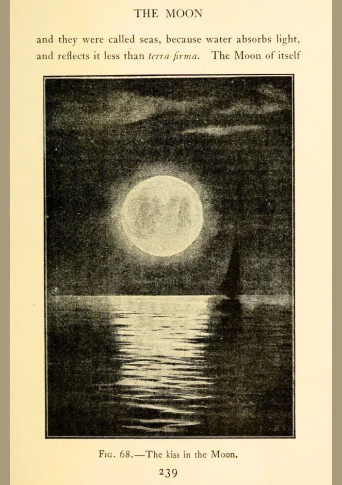 Tidal Reverie | Through the Telescope 31