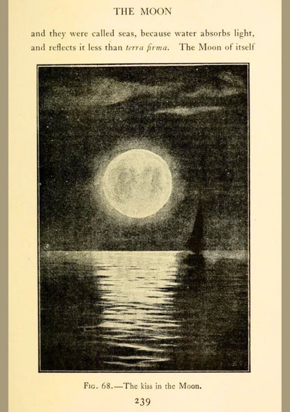 Tidal Reverie | Through the Telescope 31