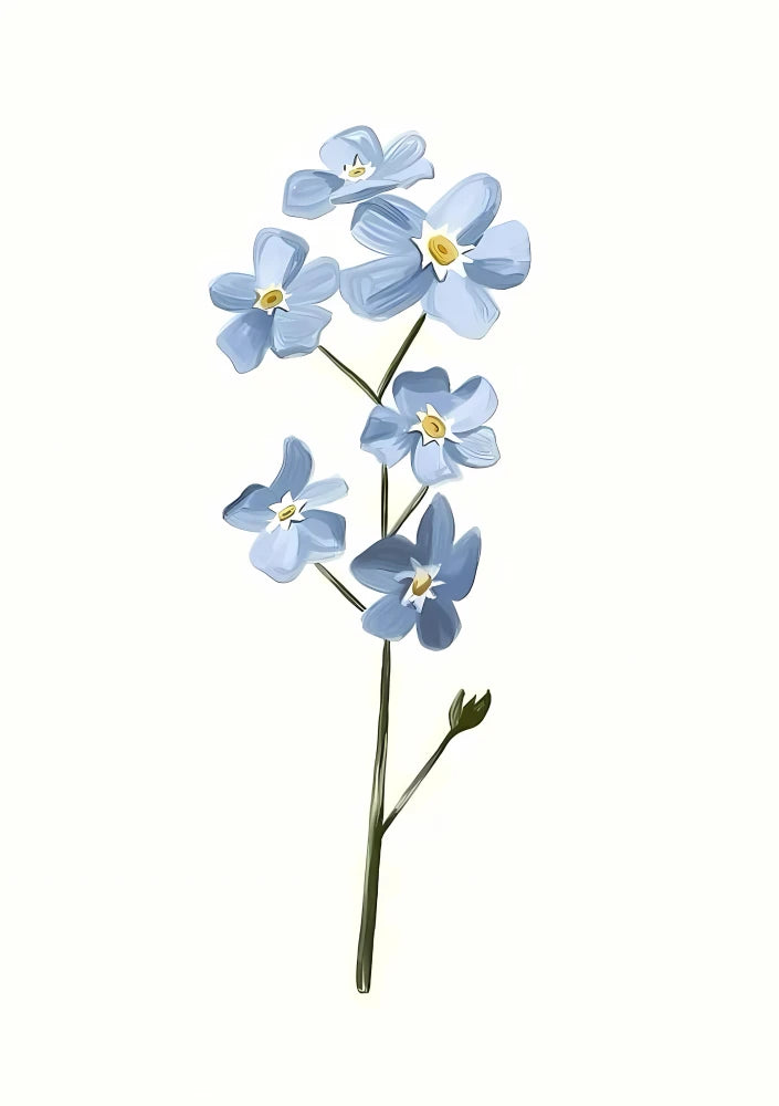 Forget-Me-Not | Mlue 06