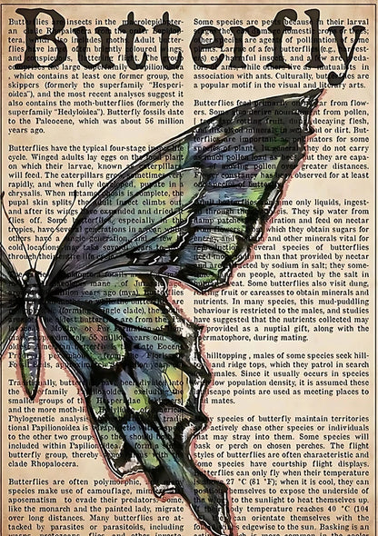 Quiet Capture | Pink Lemonade 30