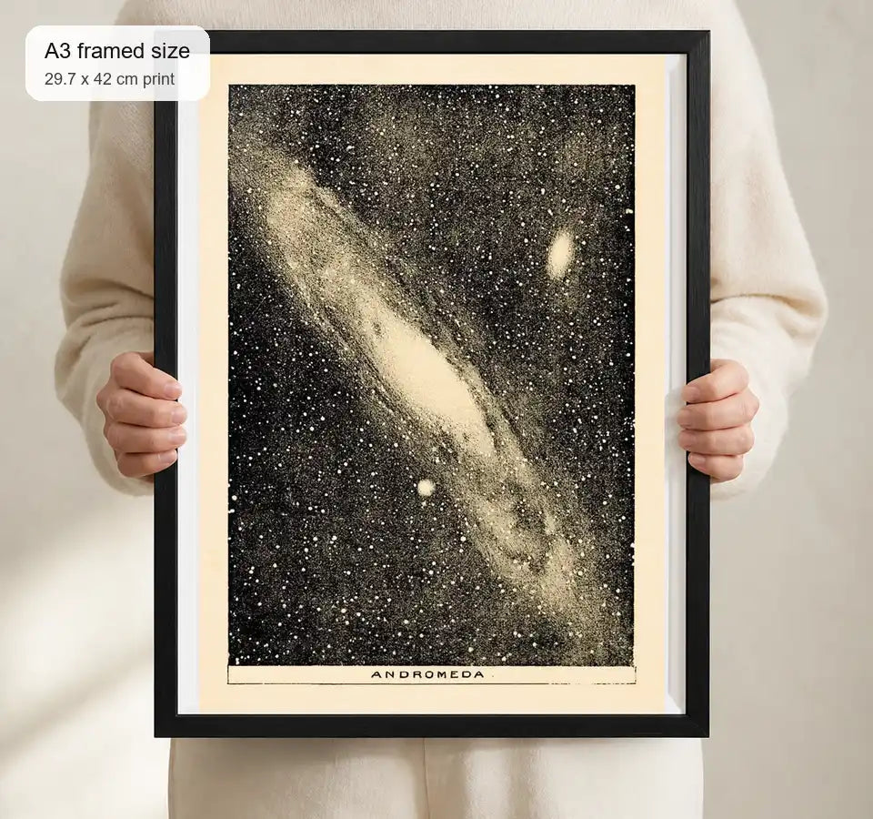 Size reference for A3 · Black Gallery Frame - gallery image 4 of 5