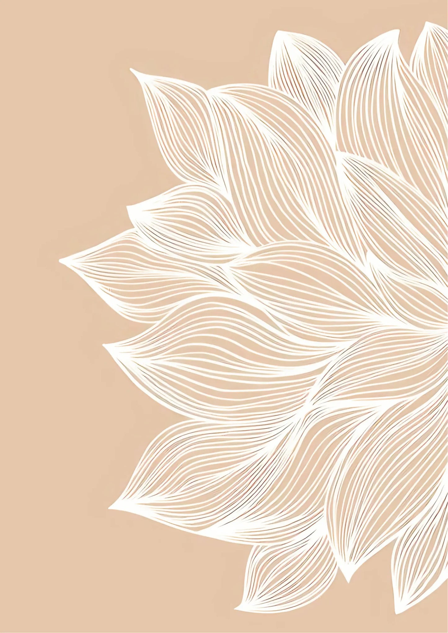 White line art of layered petals on a solid beige background, arranged in a radial, upward-sweeping composition