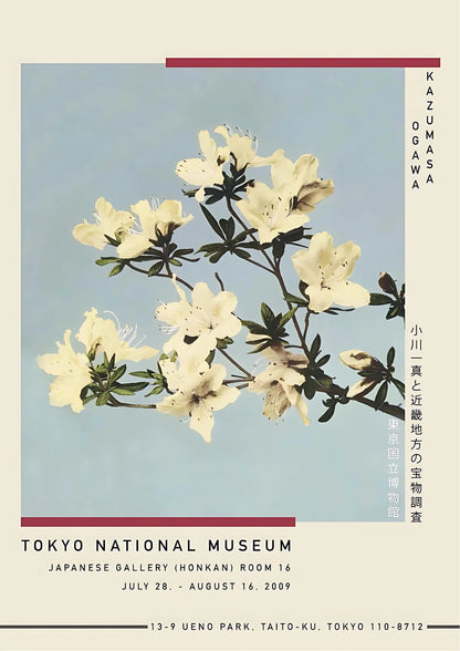 White azalea blossoms with dark centers on branches against a pale blue background, framed by vertical text blocks and horizontal red lines