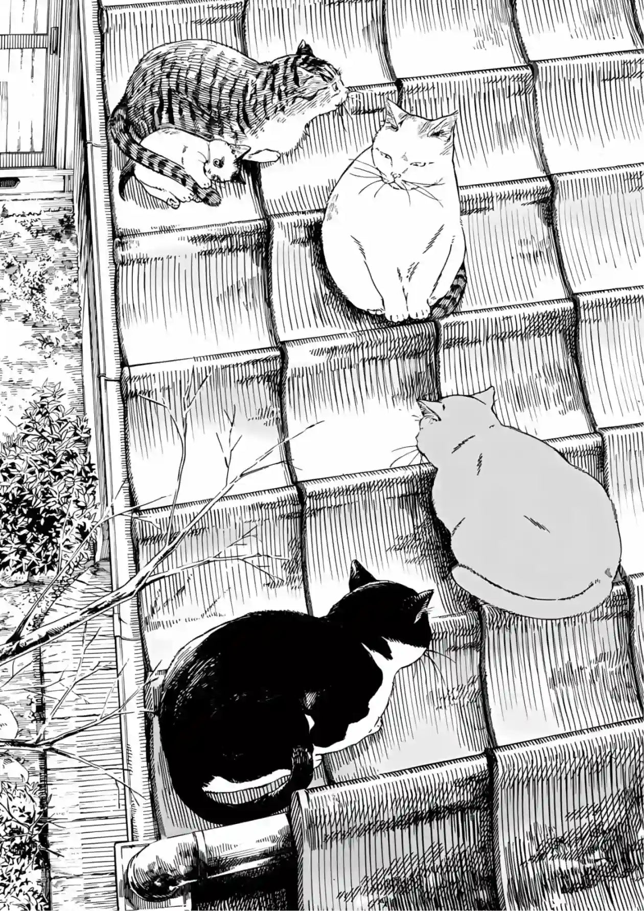 Black and white ink illustration of five cats on a tiled roof, rendered in detailed line work
