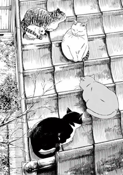 Black and white ink illustration of five cats on a tiled roof, rendered in detailed line work