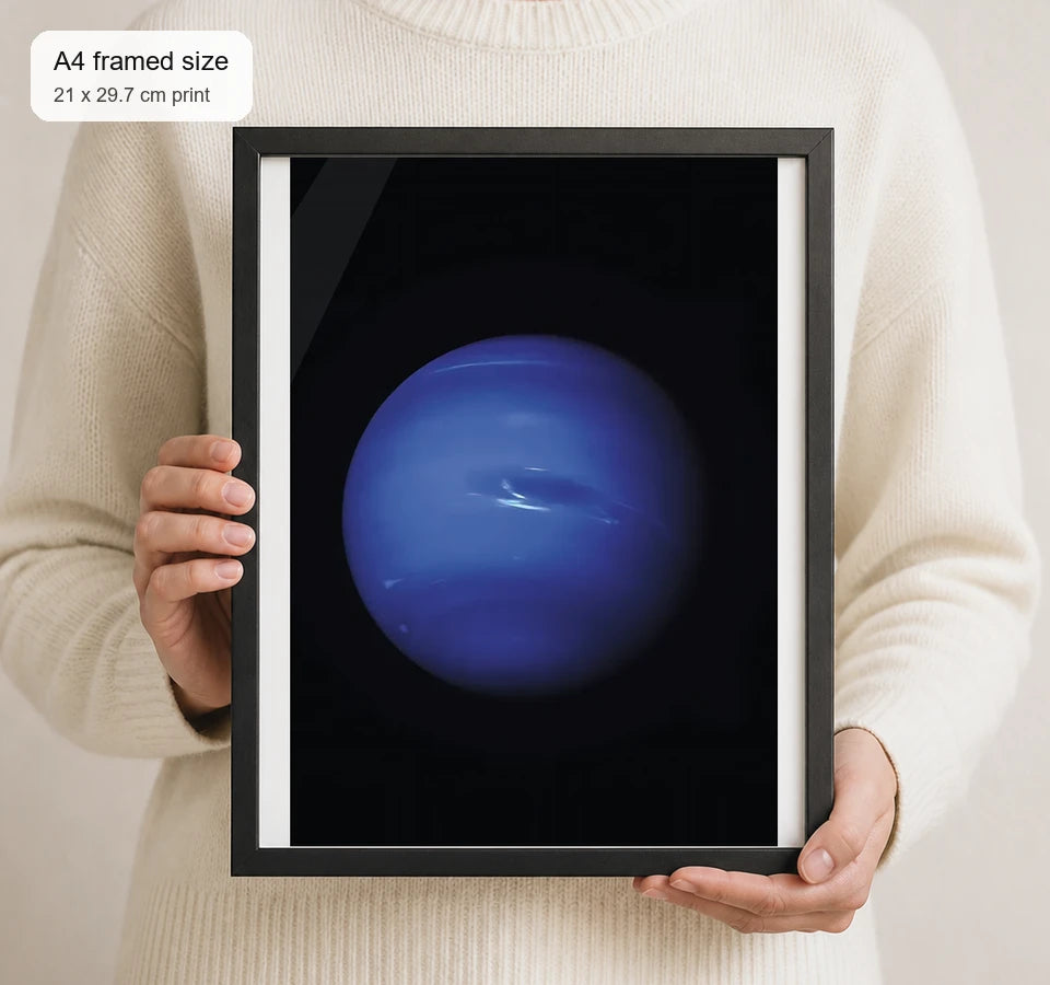 Size reference for A4 · Black Gallery Frame - gallery image 4 of 5