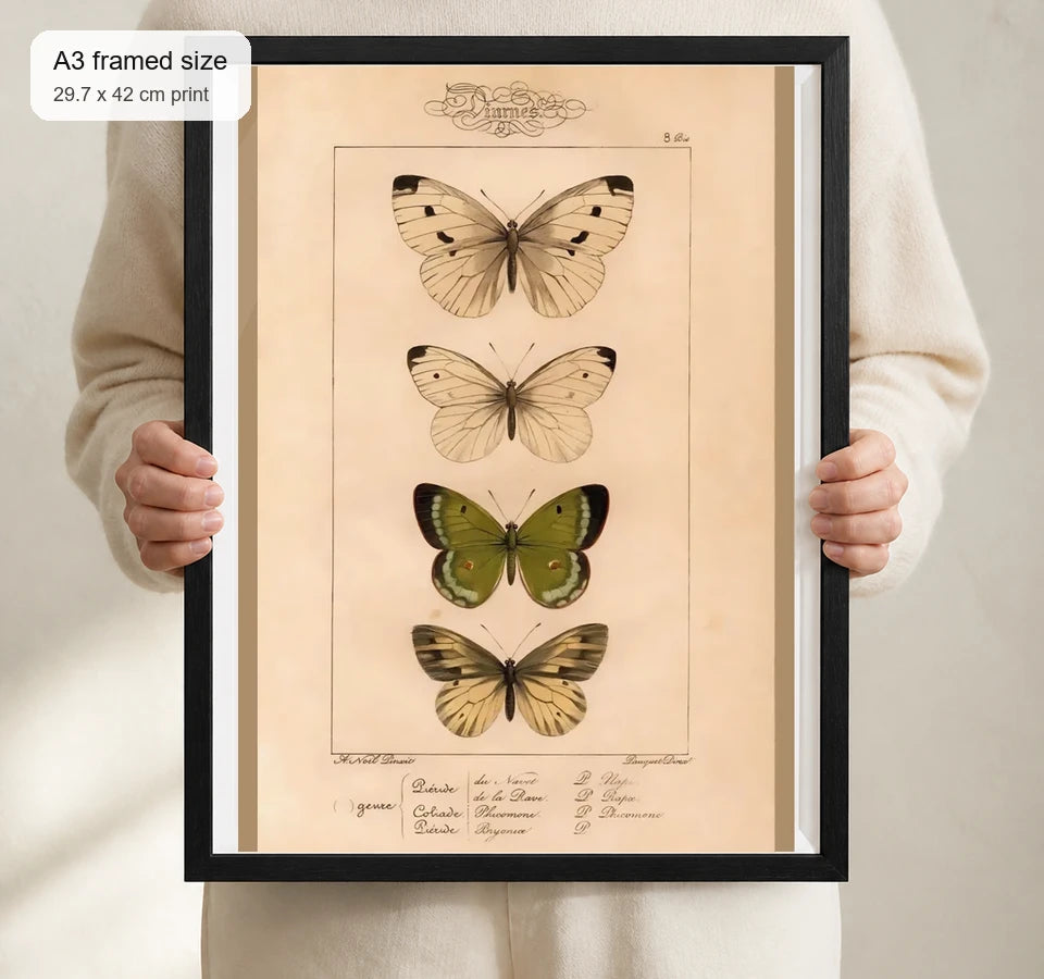 Size reference for A3 · Black Gallery Frame - gallery image 4 of 5