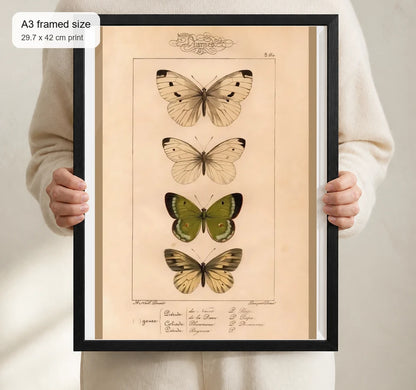 Size reference for A3 · Black Gallery Frame - gallery image 4 of 5