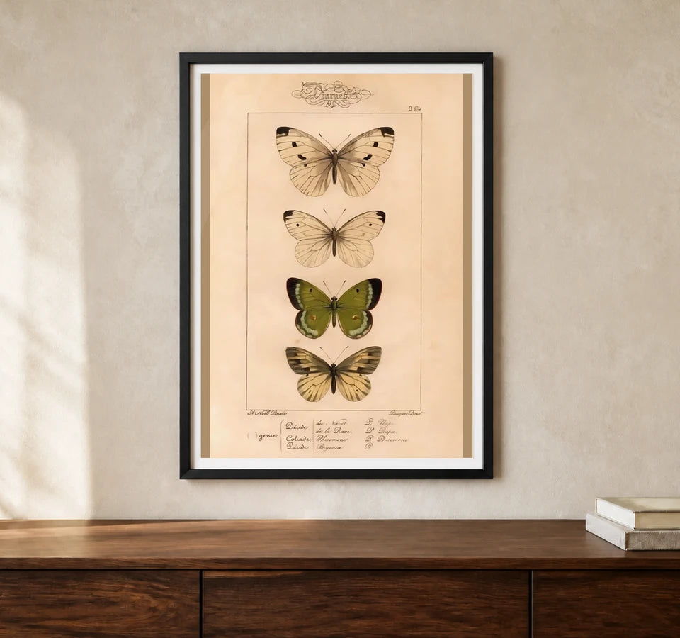 Product-focused lifestyle view of A4 · Black Gallery Frame - gallery image 1 of 5