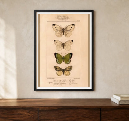 Product-focused lifestyle view of A4 · Black Gallery Frame - gallery image 1 of 5