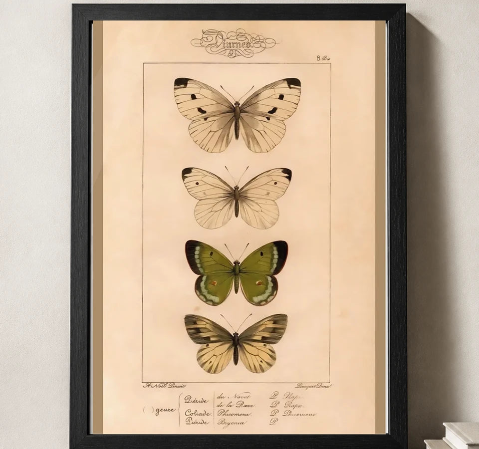 Styled close-up of A4 · Black Gallery Frame - gallery image 3 of 5