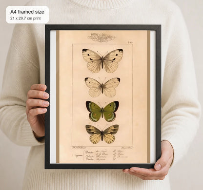 Size reference for A4 · Black Gallery Frame - gallery image 4 of 5