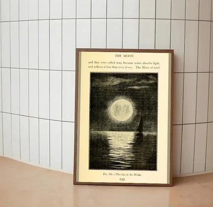 Tidal Reverie | Through the Telescope 31