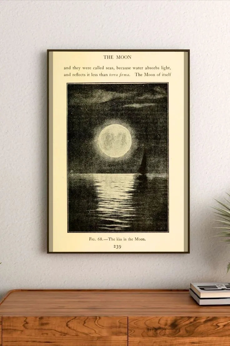 Tidal Reverie | Through the Telescope 31