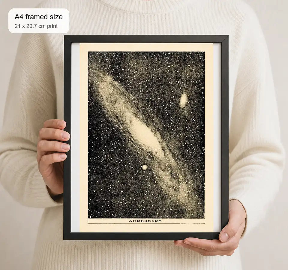 Size reference for A4 · Black Gallery Frame - gallery image 4 of 5