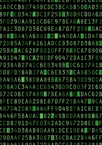 Ghost Algorithm | Digital dystopia I 15
