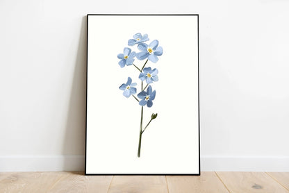 Forget-Me-Not | Mlue 06