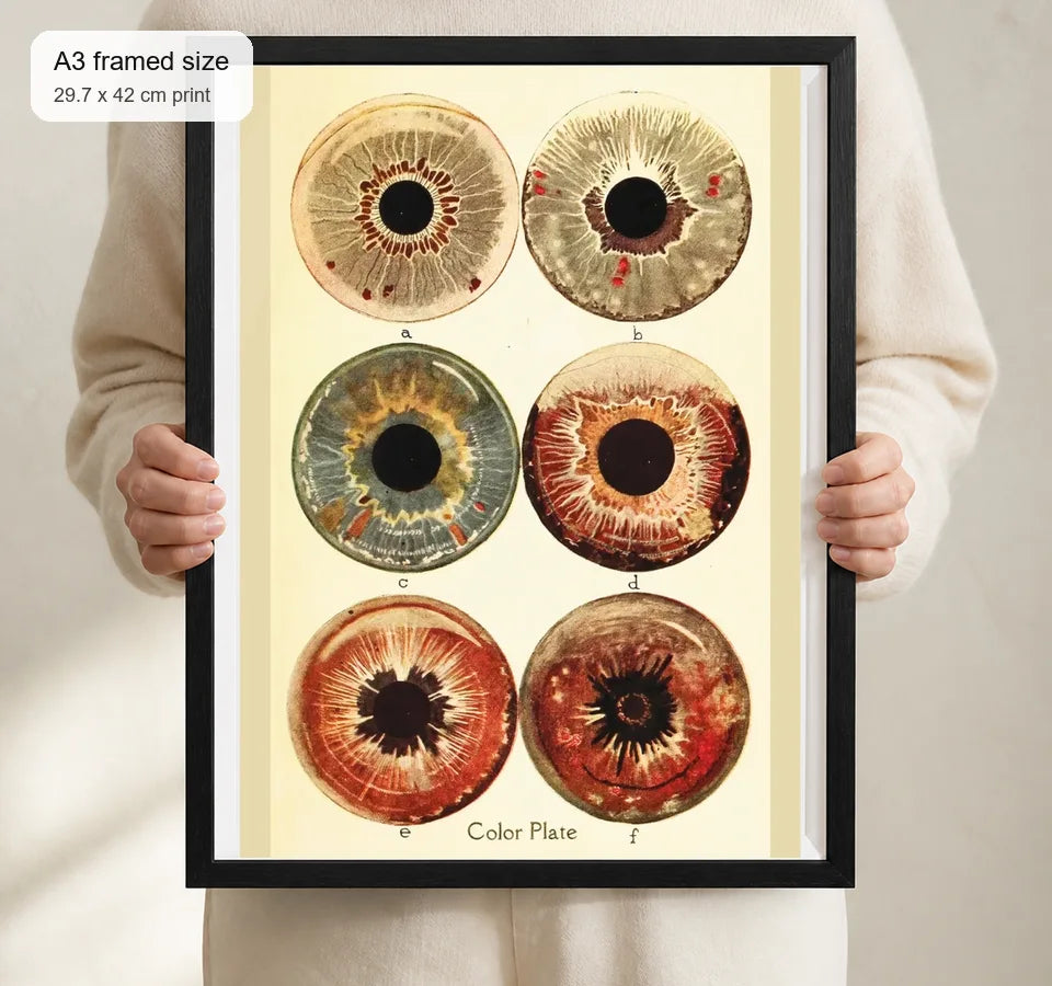 Size reference for A3 · Black Gallery Frame - gallery image 4 of 5