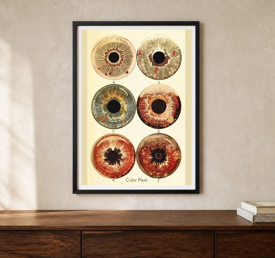 Product-focused lifestyle view of A4 · Black Gallery Frame - gallery image 1 of 5