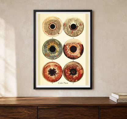 Product-focused lifestyle view of A4 · Black Gallery Frame - gallery image 1 of 5