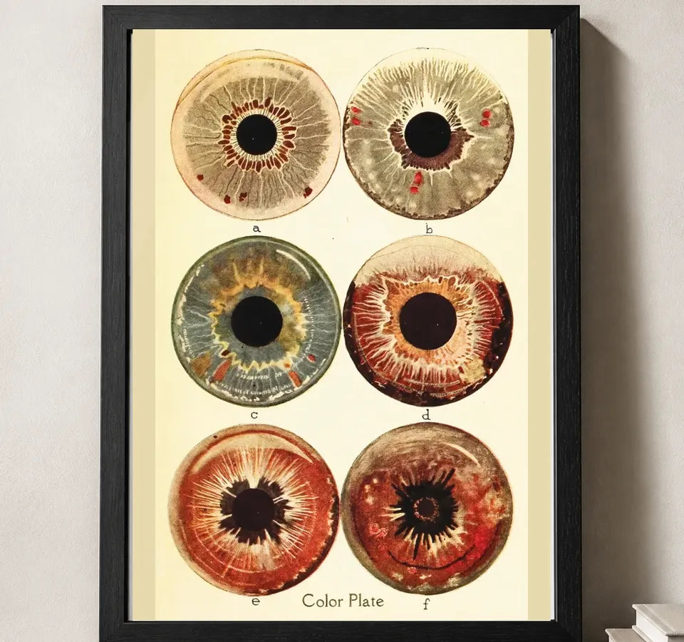 Styled close-up of A4 · Black Gallery Frame - gallery image 3 of 5
