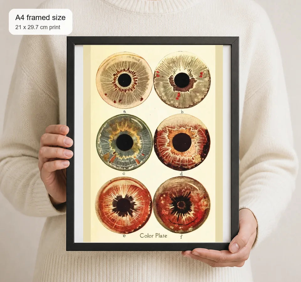 Size reference for A4 · Black Gallery Frame - gallery image 4 of 5