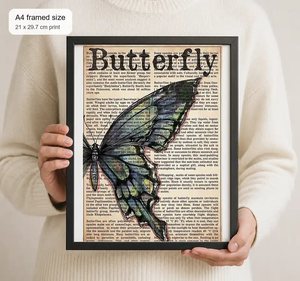 Size reference for A4 · Black Gallery Frame - gallery image 4 of 5